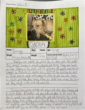 Adopt Snoopy